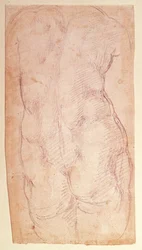 Studie des Rückens einer nackten Figur